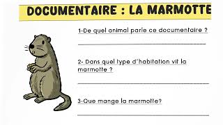 Lecture documentaire 2  La marmotte [upl. by Atteirneh]