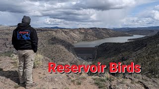 Exploring Central Oregons Backcountry Reservoir Birds Overlanding Adventure [upl. by Ramhaj]