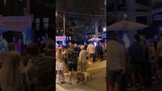 🇵🇱 Polka Music at Toronto Polish Festival 2024 shorts [upl. by Alyat108]