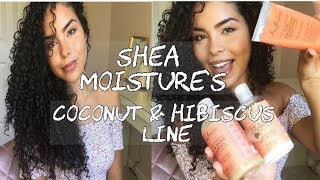 SHEA MOISTURE Curly Hair Routine [upl. by Aihsekram404]