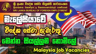 මැලේසියාවේ විදේශ රැකියා මෙන්න I Malaysia Job Vacancies I Job 2024 Sri Lanka [upl. by Anoif11]