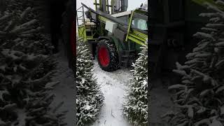 Christmas trees packing in Lithuania [upl. by Jerald]