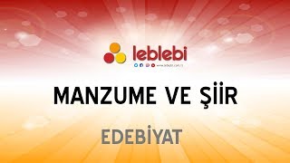 EDEBİYAT  MANZUME VE ŞİİR [upl. by Leibman]