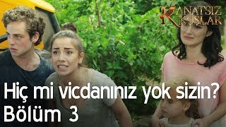 Hiç mi vicdanınız yok sizin  Kanatsız Kuşlar 3 Bölüm [upl. by Ritchie498]