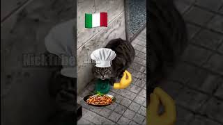 Meowbenvenuti alla pizzeria daGATTUSC ITALIANO NickTube cats italy [upl. by Kcerb266]