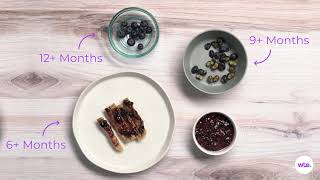 Blueberries  How to Feed Your Baby Safely [upl. by Ivon]