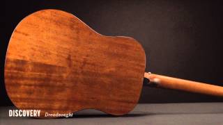 Breedlove Acoustic Guitars Discovery Dreadnought Guitar [upl. by Terrab]