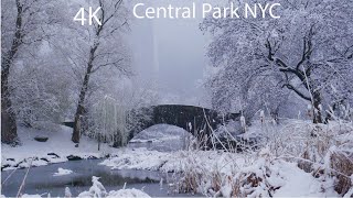 NYC Walking in the Snow Snow in Central Park Manhattan New York 4K  Snow Storm City Sound [upl. by Sinnelg]