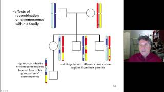 Cinelecture 76  Recombination Mapping Intro to Human Genetics [upl. by Yaniv]