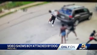 Dog attacks child man who intervened in Price Hill [upl. by Camille206]