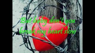 Dont you break my heart slow by Vonda Shepard with lyrics [upl. by Nerha]