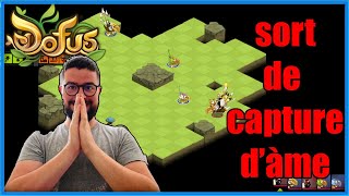 On reprend Dofus et nous allons chercher le sort de capture d’àme [upl. by Julissa]