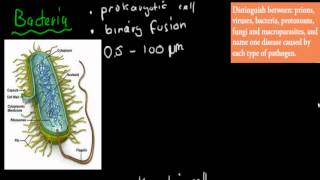 SB33 Prions bacteria virus  fungi  protozoa macroparasites HSC biology [upl. by Simah]