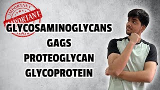 Biochemistry  Heteropolysaccharides  Glycosaminoglycans GAGs Proteoglycan Glycoprotein [upl. by Berton]