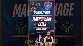 What are Macrophage Cells [upl. by Tobiah253]