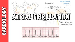 Atrial Fibrillation Overview  ECG types pathophysiology treatment complications [upl. by Perkoff]