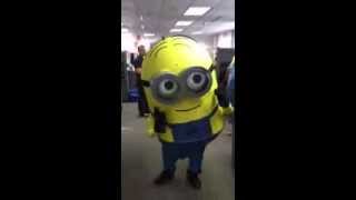 Minion Dave  2013 Halloween Costume [upl. by Rednasyl]