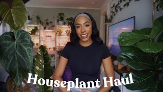 Houseplant HAUL  I Got New Plants 🌱 Home Depot amp Briggs Nursery [upl. by Nanny]