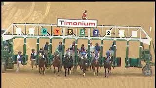 TIMONIUM 08 31 2024 RACE 7 [upl. by Vaules]