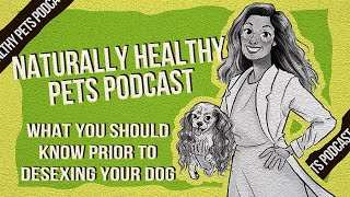 What You Should Know Prior to Desexing Your Dog  NHP Podcast Ep 19  Dr Judy amp Dr Karen Becker [upl. by Emerej685]