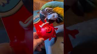 Charley attacks the Koolaid man [upl. by Marline]