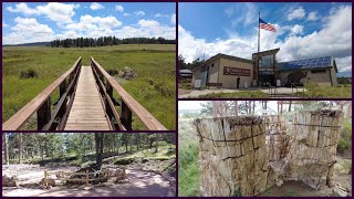 Florissant Fossil Beds National Monument  Complete Tour [upl. by Nomit]