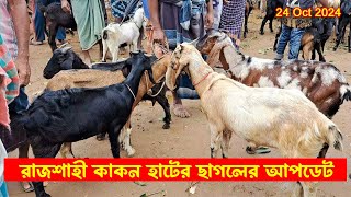 ক্রস ও দেশি জাতের মাংসের বড় খাসি ছাগলের দাম✅ কাকন হাট✅গোদাগাড়ি রাজশাহী ✅Krishi Bangla Rajshahi [upl. by Levins]