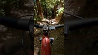 EBike Showdown Santa Cruz Heckler vs Bullit Trail Test [upl. by Andersen]