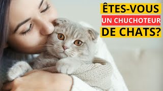 12 Signes que vous êtes un véritable chuchoteur de chats [upl. by Humfrey953]