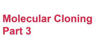 Tutorial 2 Cloning Part 3 Tm check agarose gel confirmation PCR purification [upl. by Filip]