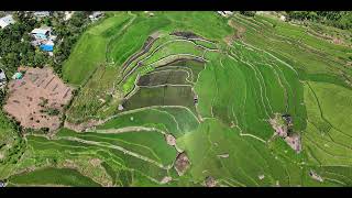 Rice Terrace Clusters of Kiangan Nagacadan UNESCO World Heritage Site [upl. by Abita]