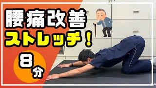 【腰痛改善ストレッチ】腰回りの筋肉の柔軟性を改善！ [upl. by Marijane]