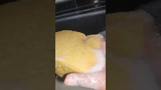 quick midnight sqeezing sponges  enjoy asmr sudus [upl. by Oiludbo]