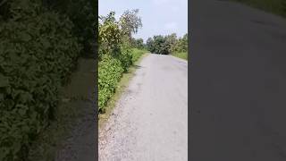 Splendor bike top speed offroading vlog minivlog splendor rider [upl. by Uriel]