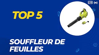 Top 5 Meilleure Souffleur de Feuilles 2024 [upl. by Ahsitauq]