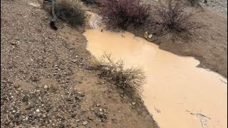 Rainy Days  Quartzsite AZ  2024 [upl. by Ayian]