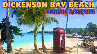 DICKENSON BAY BEACH  Antigua and Barbuda  the most popular beach  St John  Caribbean cruise [upl. by Bow]