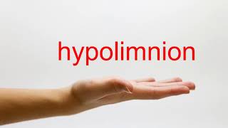 How to Pronounce hypolimnion  American English [upl. by Sidoon]