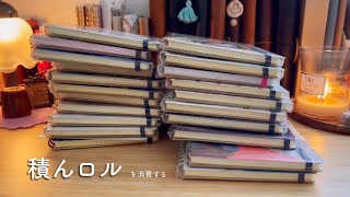 積んロルとフレキシブルで試したいこと❣️📖【前編】新しいノートを買う前に積んロルから消費したい❣️ [upl. by Htur]