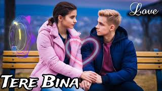 Tere Bina  Romantic song  romantic slowedandreverb [upl. by Cornelia]