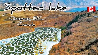 spotted lake in Osoyoos Spotted lake Osoyoos  attraction in Osoyoos attraction in Canada [upl. by Siduhey743]