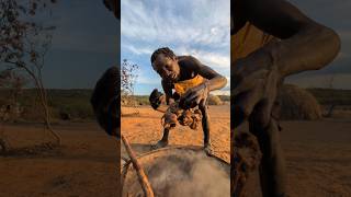 Wow Thats incredible delicious food 😋😲 See How hadzabe tribe survives middle of Junglefood [upl. by Leinehtan]