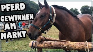 Pferd gewinnen am Pferdemarkt ✮ [upl. by Cynarra]