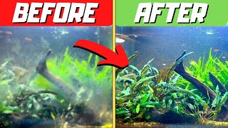 Crystal Clear Aquarium Water  7 Secrets Revealed [upl. by Nemhauser]