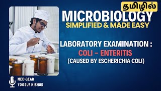 LABORATORY EXAMINATION OF COLI  ENTERITIS தமிழில்  ECOLI BACTERIA 🦠  Microbiology 🧫 MADE EASY [upl. by Yerocaj]