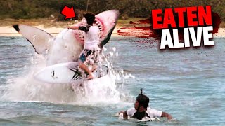 Eaten Alive By Sharks MARATHON [upl. by Anieral]