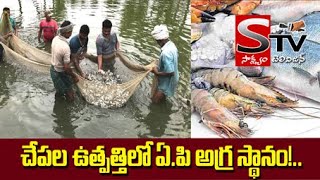 మత్స్య ఉత్పత్తిలో ఆంధ్రప్రదేశ్ అగ్రస్థానం కేంద్ర గణాంక కార్యక్రమాల మంత్రిత్వ శాఖ Sakshyam tv [upl. by Pernas]