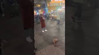 Qingdao China evening market street [upl. by Radford947]