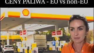 GERMANY CENY PALIWA  EU vs nonEU [upl. by Sanalda442]