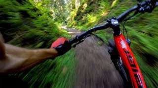 World Cup XC is no joke  Mountain Biking Dalby Forest [upl. by Vassar]